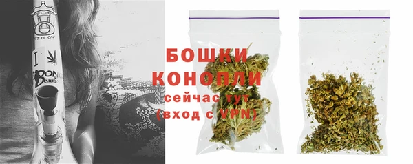 не бодяженный Заводоуковск