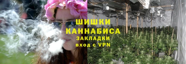 не бодяженный Заводоуковск