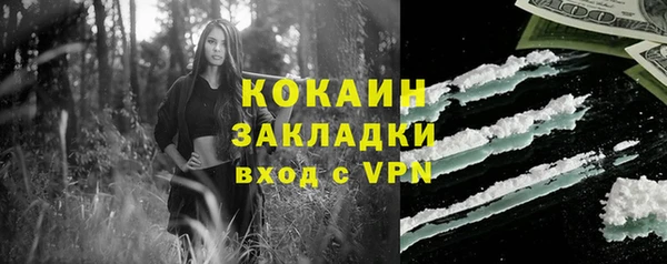 не бодяженный Заводоуковск
