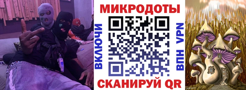 Псилоцибиновые грибы Magic Shrooms Купить где Протвино